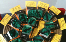 Goflex verlicht Stichting ANTAR!