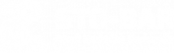 Logo regio sob png wit 1 250x76